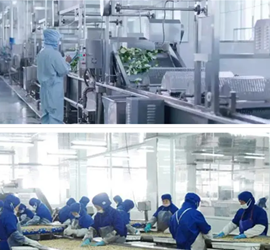 微信截图_20220323110745_副本